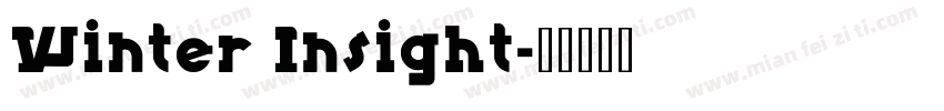 Winter Insight字体转换